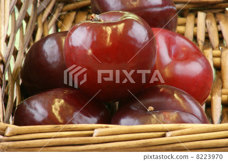 some organic plums in a wicker basket 8223970
