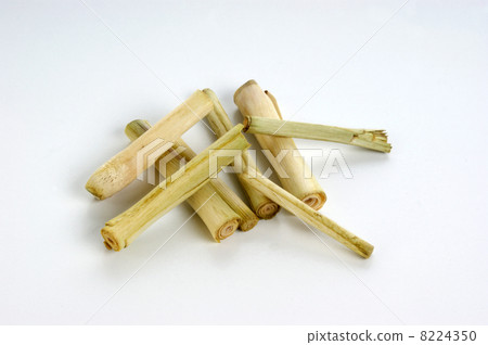 thai lemon grass and a white background thai lemon grass and a white background 8224350