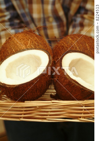 coconut coconut 8224513