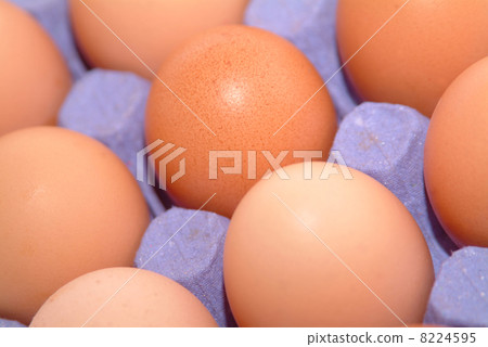 happy easter holiday happy easter holiday 8224595