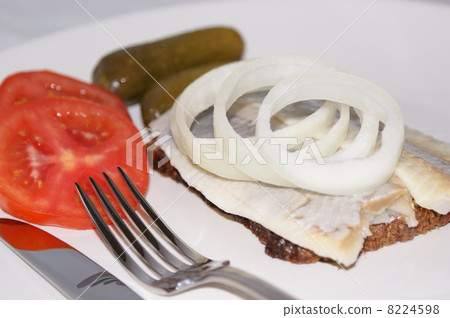 matie, a young herring on a slice bread 8224598