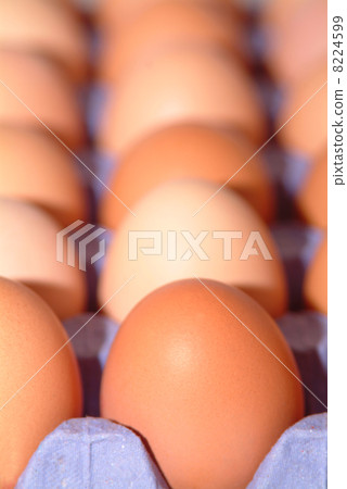 happy easter holiday happy easter holiday 8224599