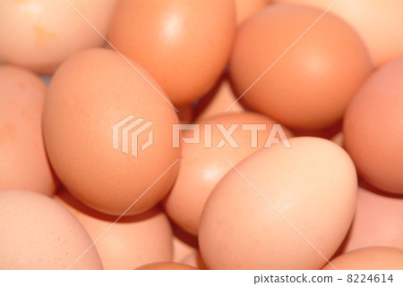 happy easter holiday happy easter holiday 8224614