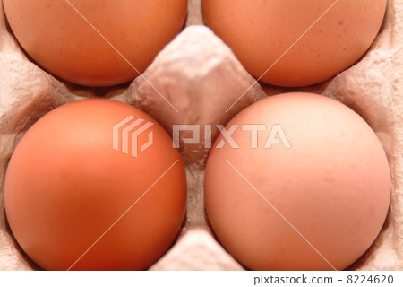 happy easter holiday 8224620