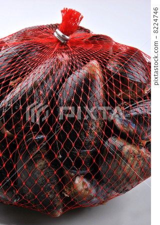 fresh organic mussel in a red net fresh organic mussel in a red net 8224746