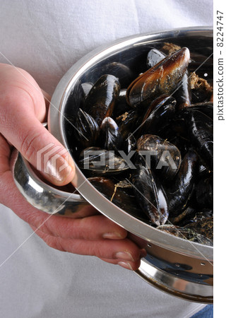 some fresh and organic mussel before preparation some fresh and organic mussel before preparation 8224747
