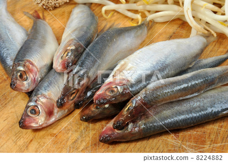 some fresh organic sprats and bean sprouts some fresh organic sprats and bean sprouts 8224882