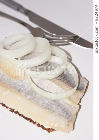matie, a young herring on a slice bread 8224974