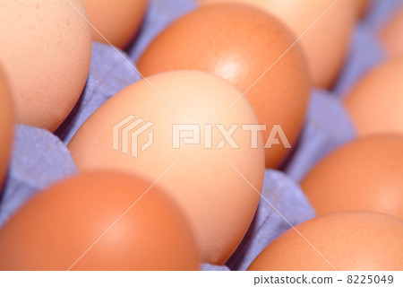 happy easter holiday happy easter holiday 8225049