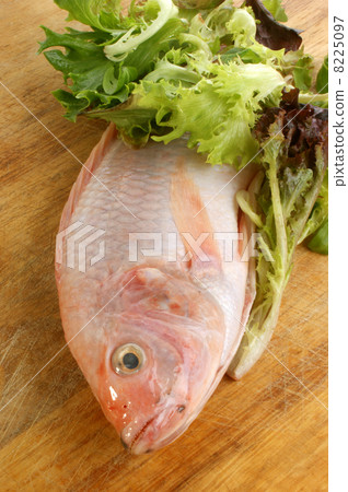 fresh organic african tilapia on a timber board 8225097
