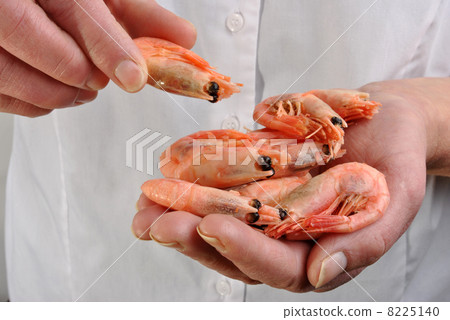 hold and prepare some organic prawns to eat hold and prepare some organic prawns to eat 8225140