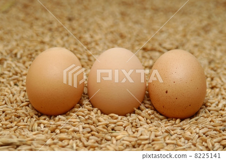 i love eggs 8225141
