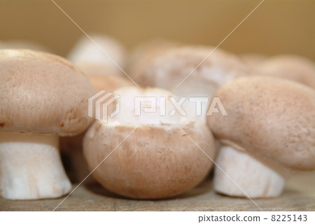 chestnut mushroom has a strong taste and meaty texture chestnut mushroom has a strong taste and meaty texture 8225143