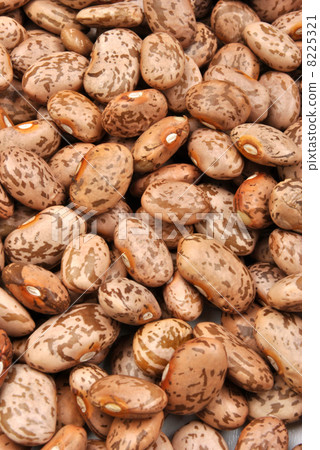 organic pinto beans are good for stew or soup 8225321