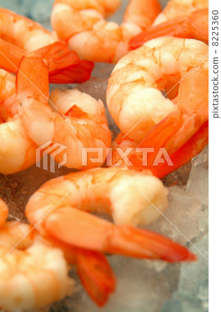 fresh king prawns on some ice ready to eat fresh king prawns on some ice ready to eat 8225360