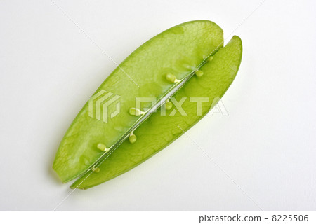fresh organic mangetout, also known as sugar snap pea fresh organic mangetout, also known as sugar snap pea 8225506