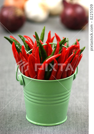 some red and green chili in a bucket some red and green chili in a bucket 8225509