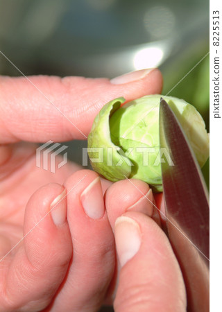 prepare brussel sprout prepare brussel sprout 8225513