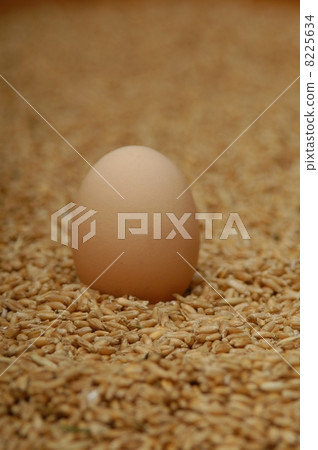 i love eggs 8225634