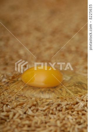 i love eggs i love eggs 8225635