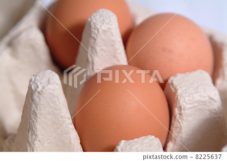 i love eggs i love eggs 8225637
