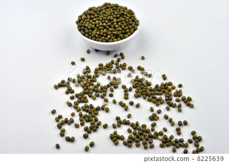 organic mung beans are good for salad organic mung beans are good for salad 8225639