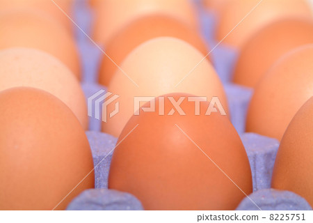 happy easter holiday happy easter holiday 8225751