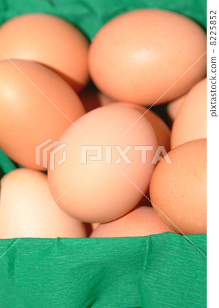 happy easter holiday 8225852