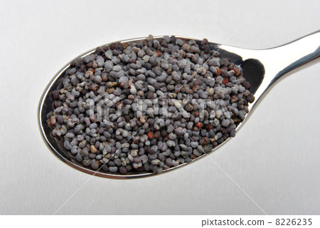 some organic poppy seed on the spoon some organic poppy seed on the spoon 8226235