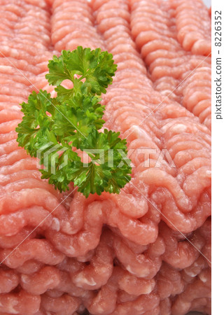 minced meat with parsley on a plate 8226352
