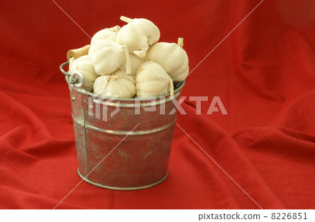 some fresh organic garlic in a bucket some fresh organic garlic in a bucket 8226851