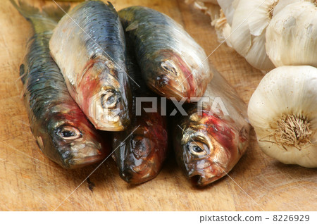 some fresh organic sardine on a timber board 8226929