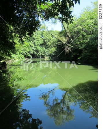 The University of Tokyo Sanshiro pond 8227869