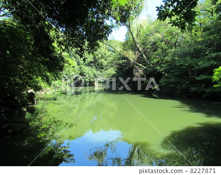 The University of Tokyo Sanshiro pond 8227871