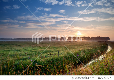 sunrise over green pastoral 8228076