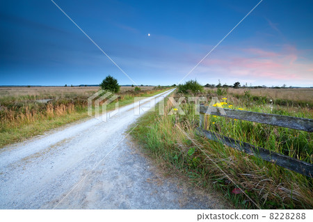 countryside road in moonlight 8228288
