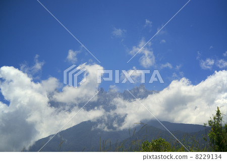 京那巴魯山婆羅洲島 8229134