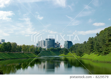 Sakurada門護城河 8229579