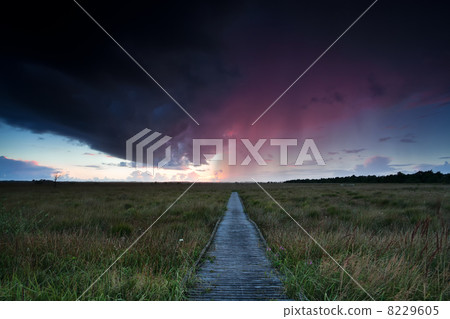 dramatic thunderstorm over path through swamps dramatic thunderstorm over path through swamps 8229605