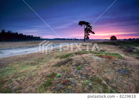 pink warm sunrise over wild hills and meadows 8229618