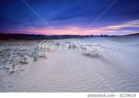 sand texture on dune at sunrise 8229619