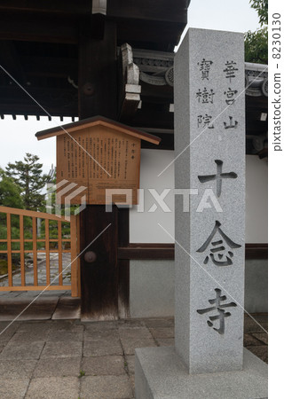 Shintoji 8230130