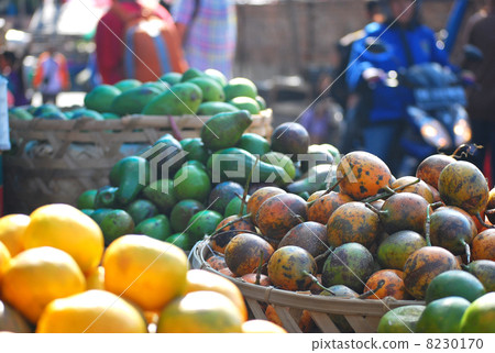 Vegetable fruit market food ingredients avocado grapefruit organic vegetables home gardening organic food education agricultural products shrimp and vegetable vegetable food material food food health services sale outdoor stalls blue sky market Southeast Asia 8230170
