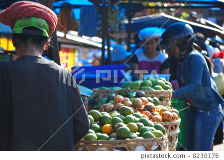 Market grapefruit fruit food ingredient food education food materials food health nature service sale open-air stalls blue sky market Southeast Asia South-South countries South Indonesia Bali Denpasar North Market Pasar · Bud 8230176