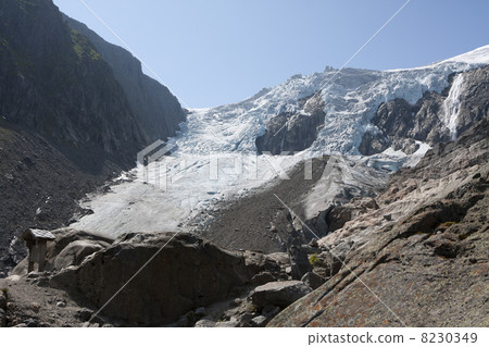 Buarbreen glacier (Folgefonna National Park, Norway) 8230349