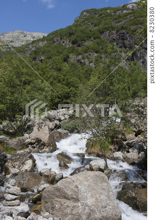 Waterfall near Buarbreen glacier (Folgefonna National Park, Norw 8230380