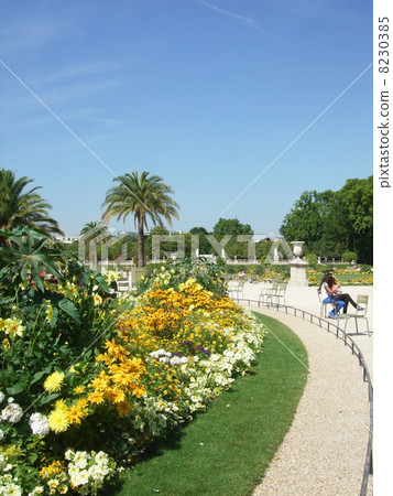 盧森堡花園 盧森堡花園 8230385