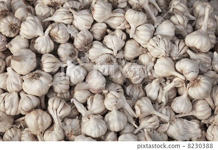 Garlic background Garlic background 8230388