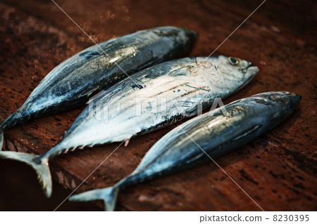 Raw fish on a wooden counter of the open market - mackerel 8230395