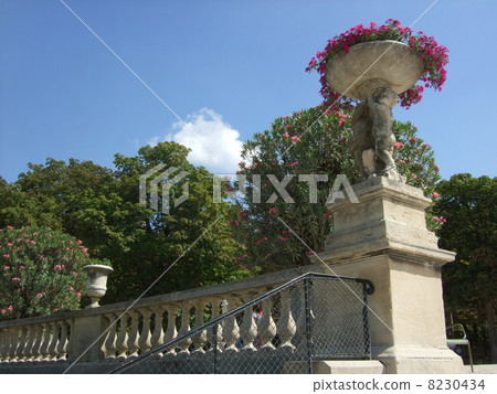 Luxembourg gardens Luxembourg gardens 8230434